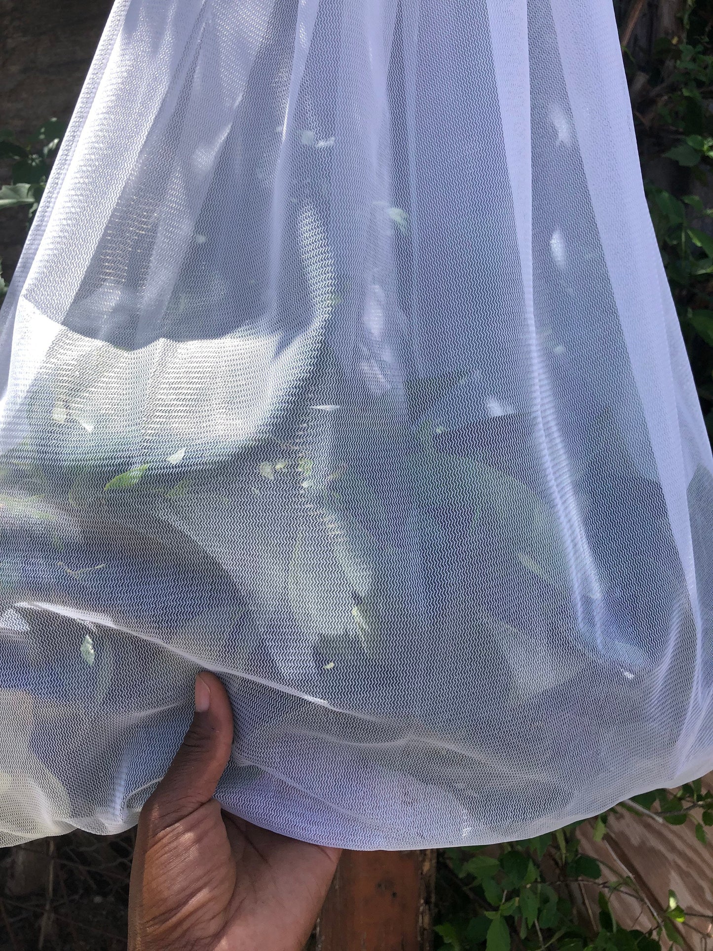 Jamaican Graviola Soursop Leaves - 1 Bag (We sell by the quantity not grams)