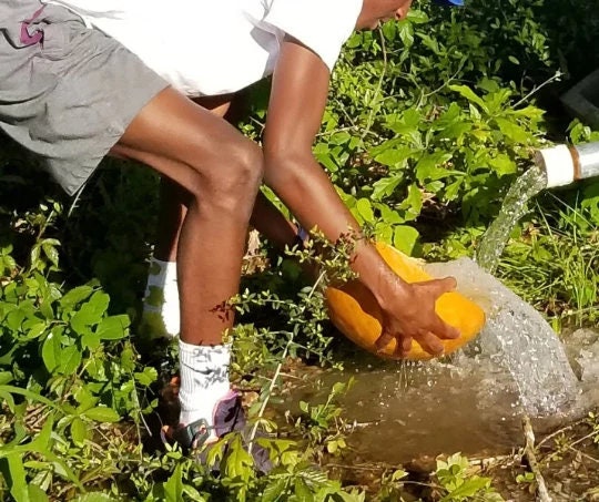 Black Soap Eucalyptus Shampoo