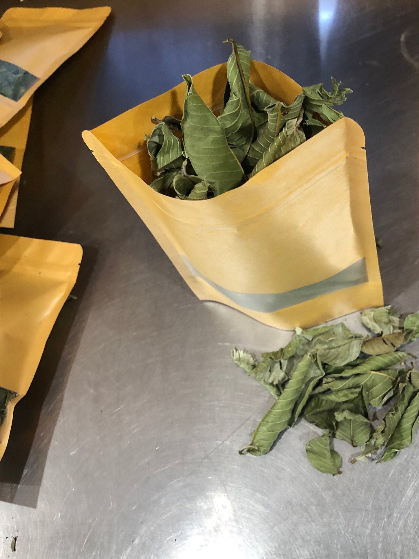 Jamaican Guava Leaves - Wildcrafted Jamaican, Air dried, Hand-Picked