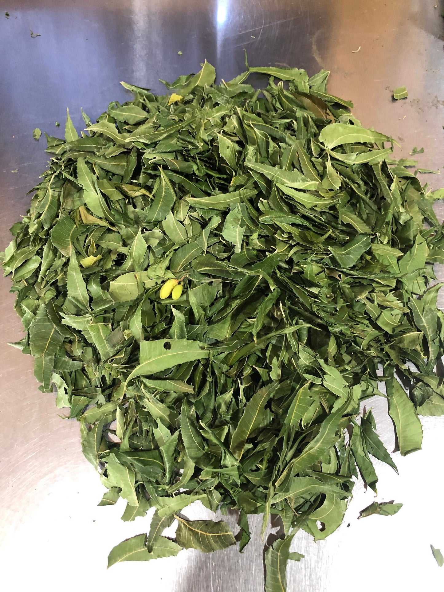 Jamaica Neem Leaves -