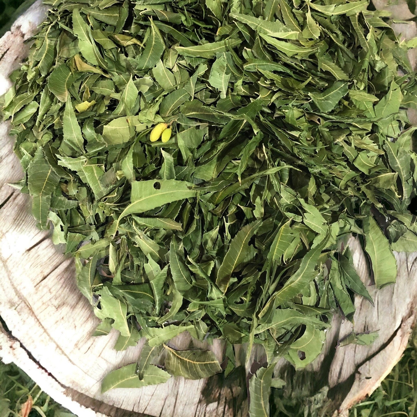 Jamaica Neem Leaves -