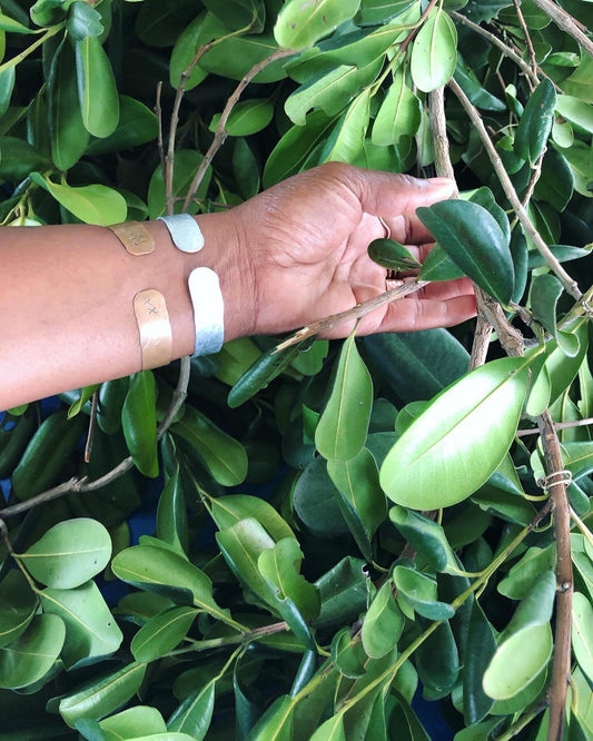 Bay Leaves (ORGANIC) hand picked (Caribbean)